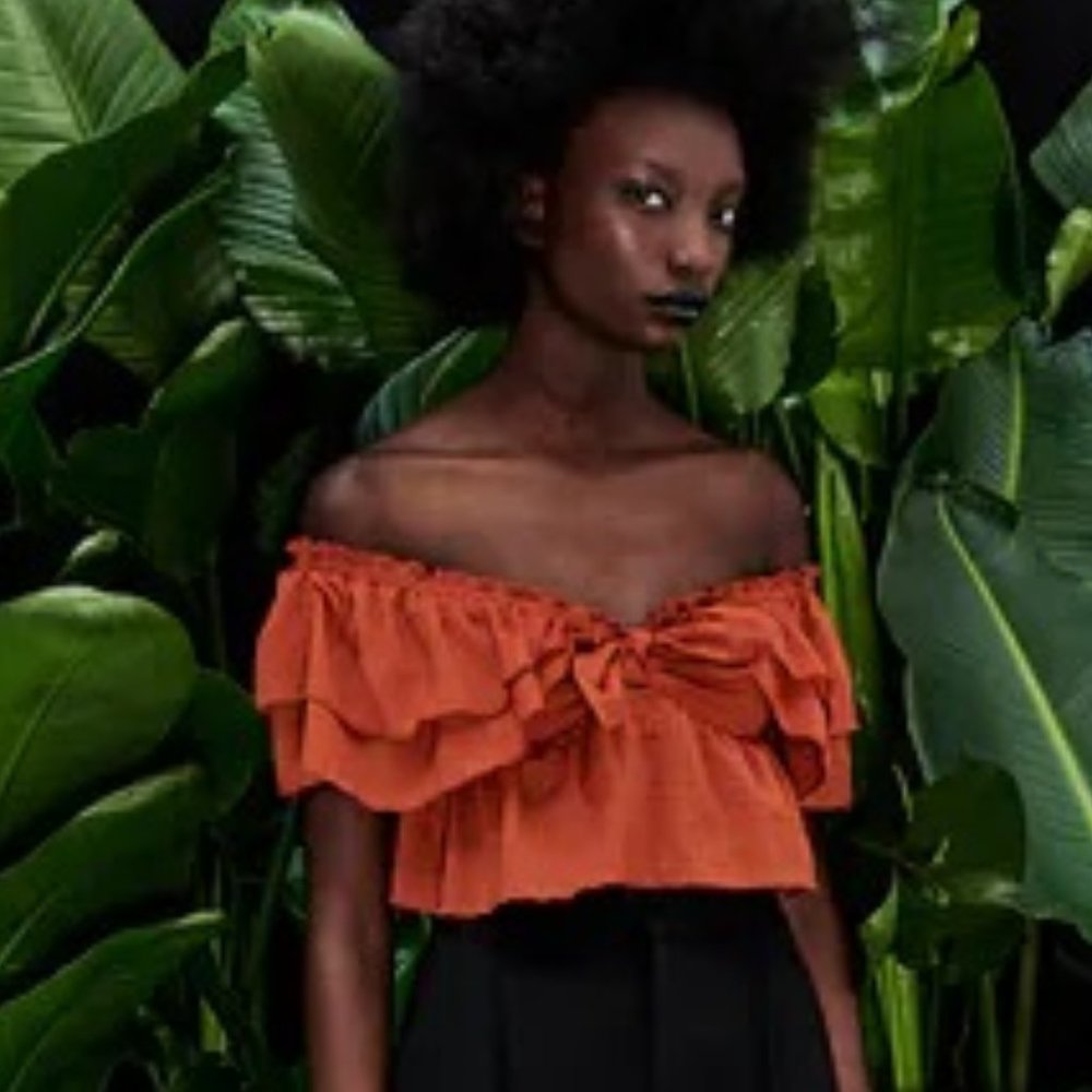 ZARA GINGHAM RUFFLED CROP TOP